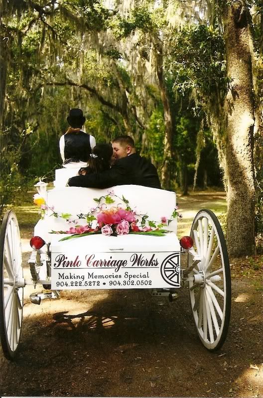 Sara Jane and her husband on the way to their happily every after on our horse carriage at the Chem Cell Club in Fernandina Beach, FL