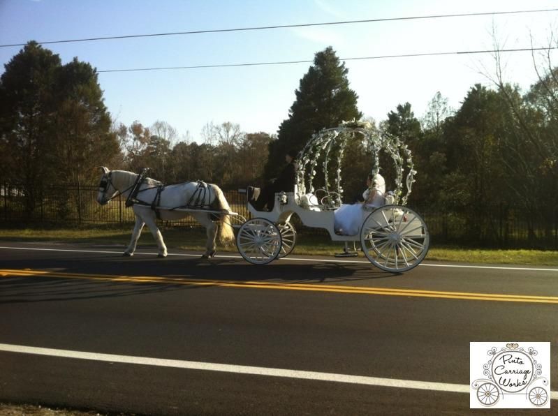 Riding on the street along our carriage journey to a wedding reception at Hillcrest Baptist Church in Jax, FL