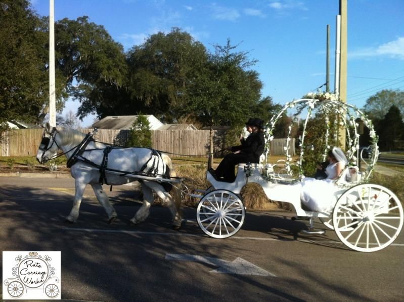Along our carriage journey to a wedding reception at Hillcrest Baptist Church in Jax, FL