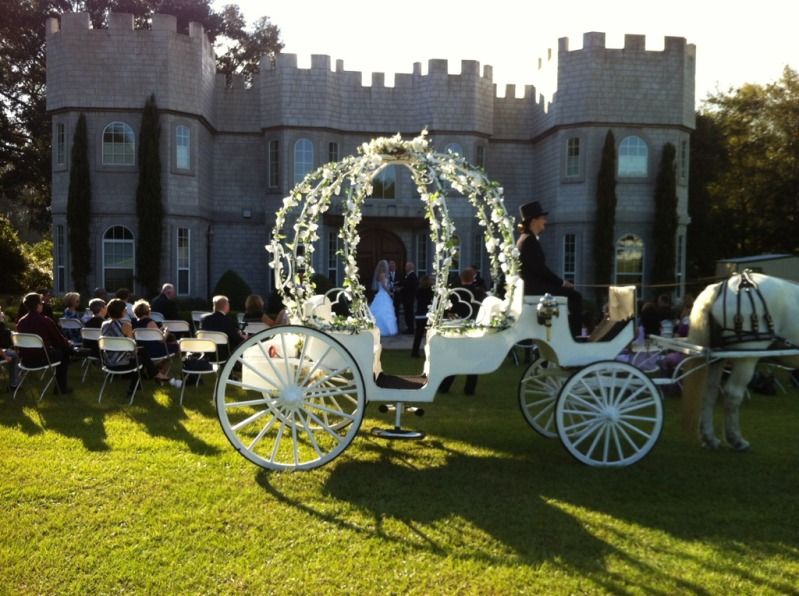 Beautiful wedding at Country Day Castle in Hilliard, FL with our Cinderella horse carriage