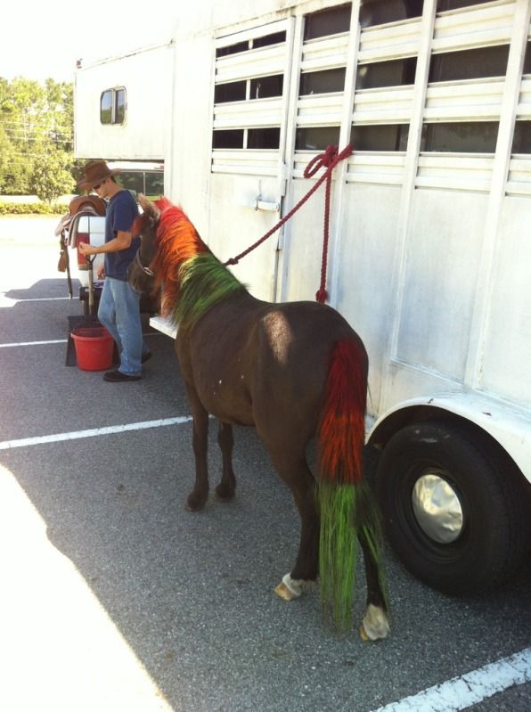 Awesome colors in our pony Magic's mane and tail: red, orange and green. Fall colors! Jax, FL.