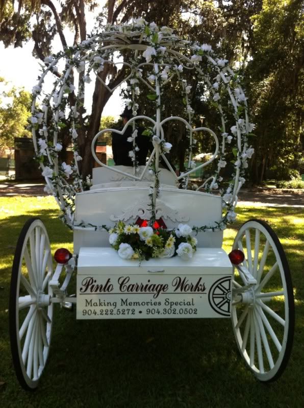 A rear view of our pretty Cinderella pumpkin top painted in white, which is new. It looks so sharp on the white horse carriage now! We were at a Quinceanera at Club Continental in Orange Park, Florida