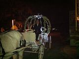 A surprise send off in the Cinderella lighted horse carriage after the wedding reception at the Club Continental in Orange Park, FL
