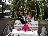 Another happy couple just married at the Hilltop in Orange Park, FL taking a carriage ride after their wedding reception