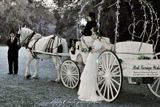 An awesome image of our horse carriage with a bridal model at the Ribault Club in Jacksonville, FL.