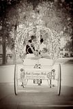 Happily ever after for Tammy and her husband as our horse carriage rides them off into the sunset.