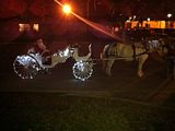Santa takes a ride in our horse carriage for the Middleburg Lighted Christmas Parade 2010 in Florida.
