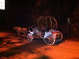 Daddy/Daughter Girl Scout Dance Cinderella carriage rides