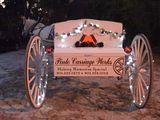 Lighted horse carriage