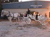 Lighted horse carriage, New Smyrna Beach, FL wedding