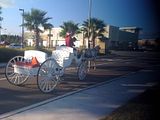 A gift wrapped horse carriage for holiday rides in Jacksonville, Florida.