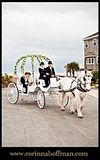 Congratulations to Zach and Candace on tying the knot before being whisked away in our horse carriage to their wedding reception in Jacksonville Beach, FL