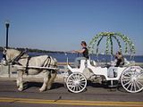 Horse carriage ride with a view of the Jacksonville skyline. Perfect.