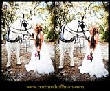 Our white carriage horse Big Ben gives a bride some sugar with a kiss at the Ribault Club in Jacksonville, FL.