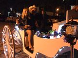 More passengers from the wedding reception in our lighted horse carriage