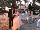 Dan & Carol Arriving to Their Wedding Reception with our Lighted Horse Carriage