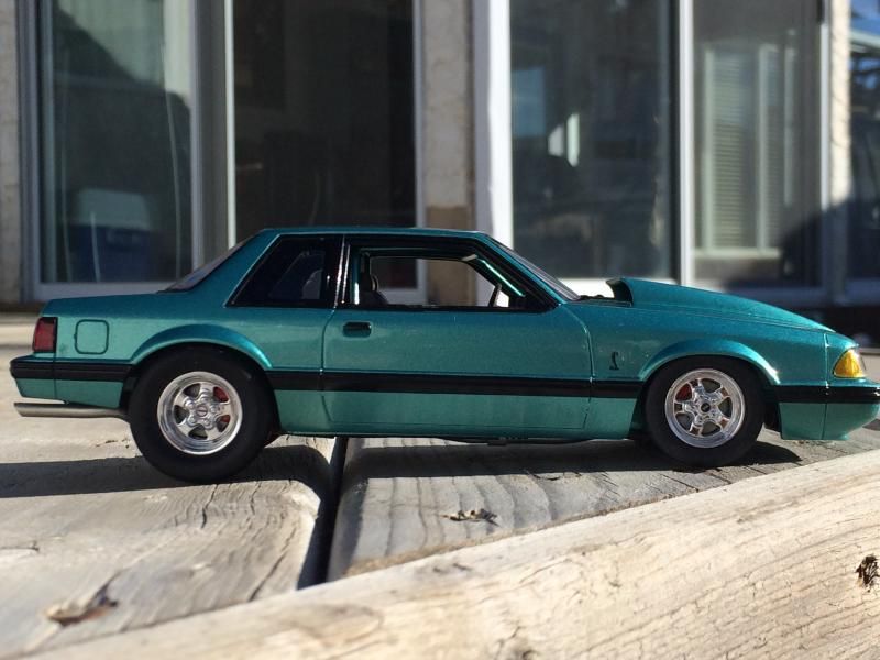 9F134230-63D1-4C7E-A130-E06C4B2BC5CF_zps