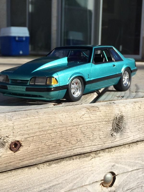 E1508195-DC65-4FBF-AB31-15AEB4FB4A25_zps