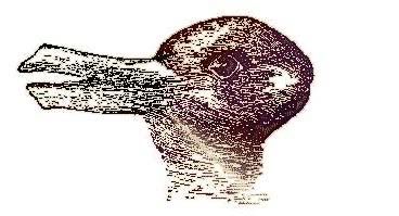 Rabbit or Duck