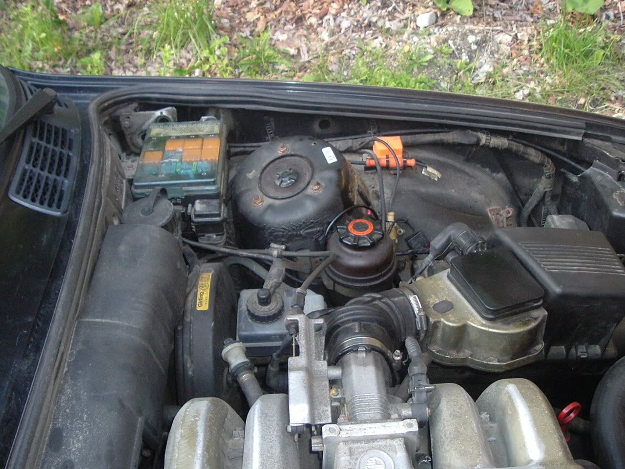 Picture of a stock E30 engine bay?