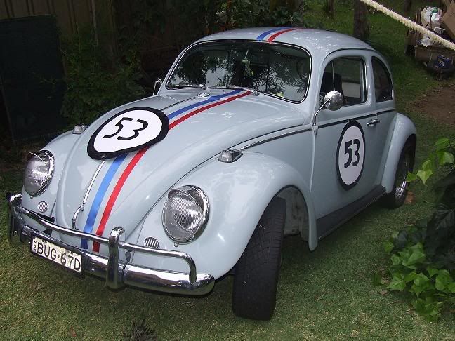 http://img.photobucket.com/albums/v139/bugbum/Elwood-herbie.jpg