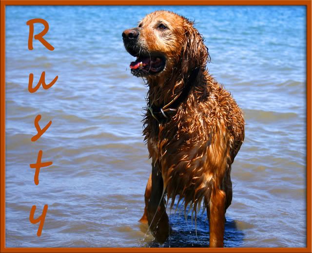 IMAGE: http://img.photobucket.com/albums/v139/lbbkturtle/rustyjuly29481edited.jpg