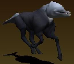 Dolphin-Horse