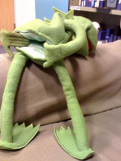  photo kermit-goatse_zps5f494e08.jpg