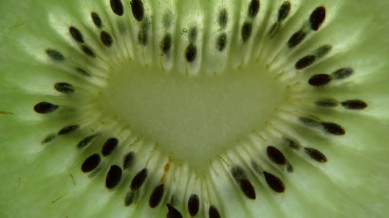 Kiwi1.jpg