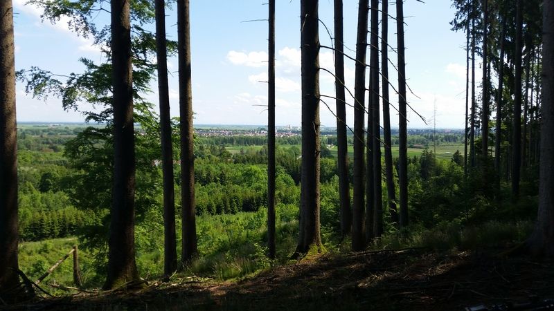 [Bild: 20160526_151938_zpsqeizfekh.jpg]