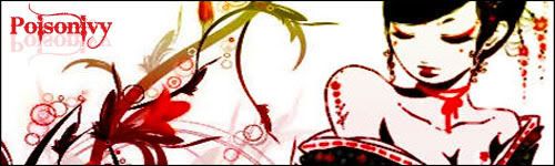Imagen enviada