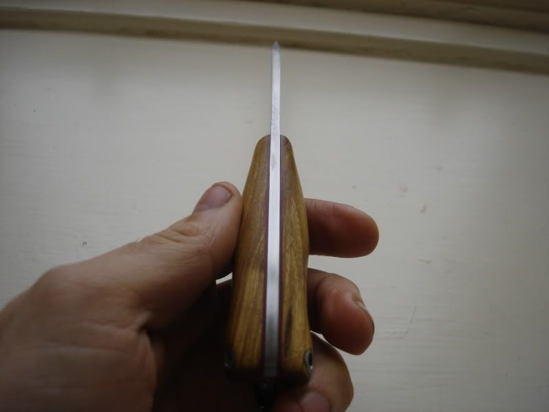 DSC02734.jpg