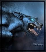 avatarwolf.jpg