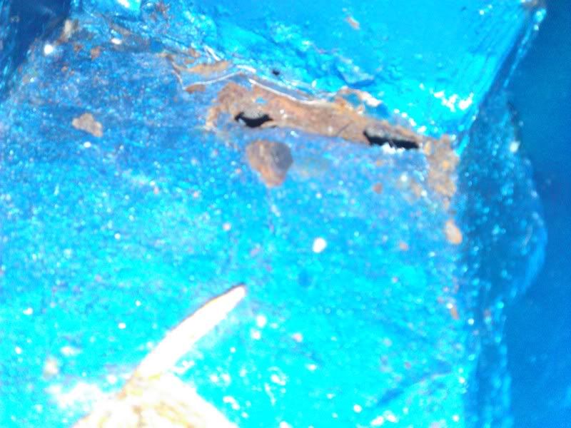 Posted Image
