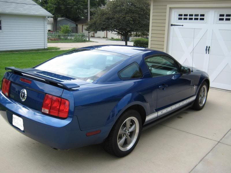Mustang003.jpg