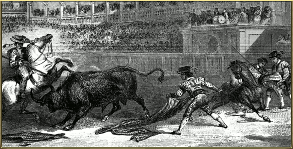 Bullfighting.gif