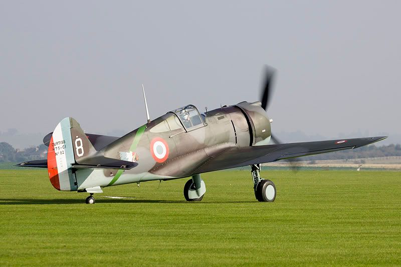 http://img.photobucket.com/albums/v142/MikePix/Duxford/16OC05/Hawk-2.jpg