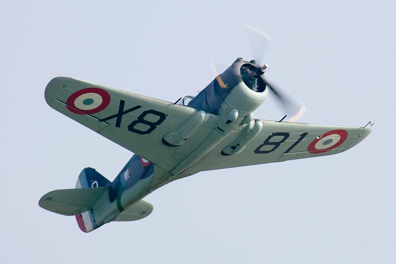 http://img.photobucket.com/albums/v142/MikePix/Duxford/16OC05/Hawk.jpg