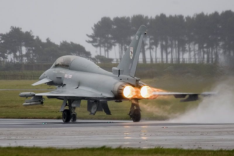 http://img.photobucket.com/albums/v142/MikePix/Leuchars2005/TyphoonLeucharsBD.jpg