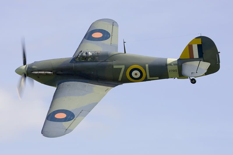 http://img.photobucket.com/albums/v142/MikePix/Old%20Warden/Hurricane-OldWarden-2.jpg