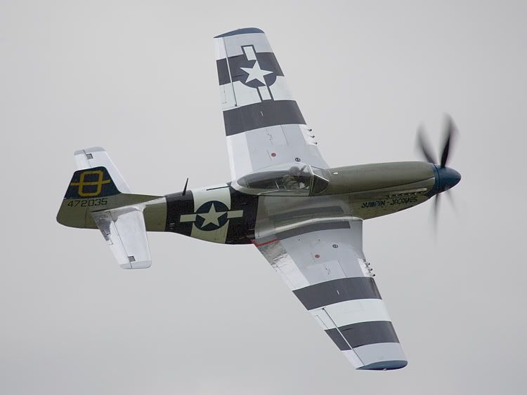 http://img.photobucket.com/albums/v142/MikePix/Old%20Warden/P51D-OldWarden-2.jpg