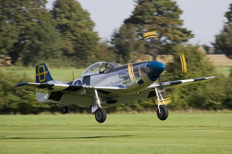 http://img.photobucket.com/albums/v142/MikePix/Old%20Warden/P51D-OldWarden.jpg