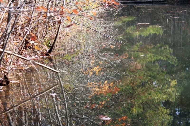 IMAGE: http://img.photobucket.com/albums/v142/bswallace1000/IMG_626.jpg