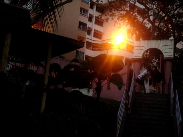 DSC08049copy.jpg picture by jacelyn14