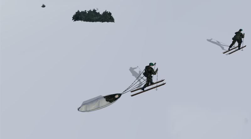 ski2.jpg