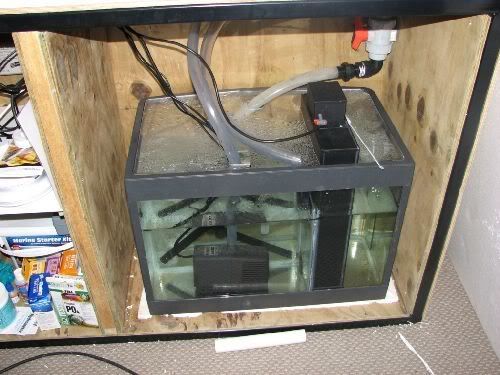 sump8aug07b.jpg