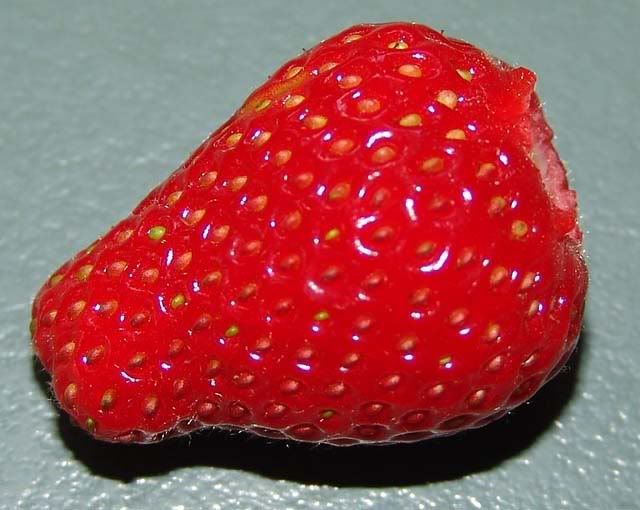 1ststrawberry.jpg