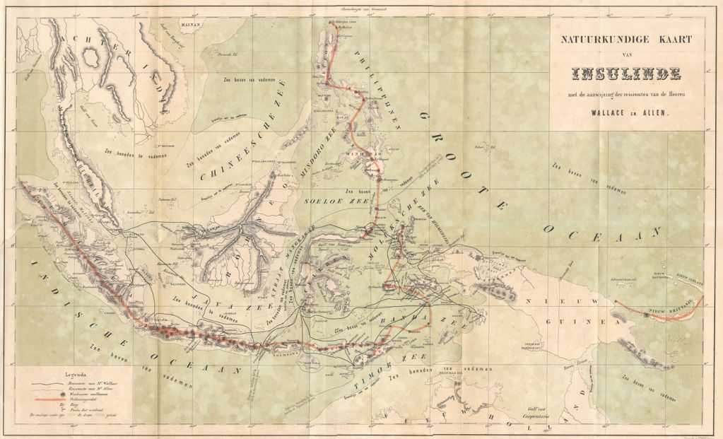 Wallace_map_archipelago.jpg