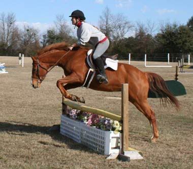 Image hosting by Photobucket