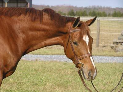 Image hosting by Photobucket